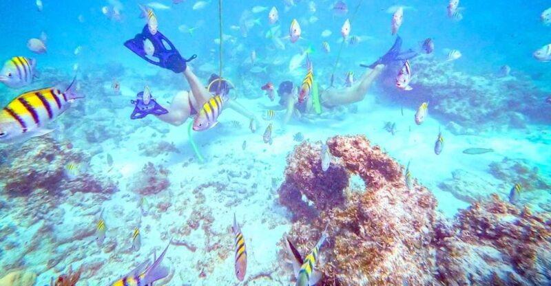 Punta Cana: Guided Power Dive Adventure - Equipment and Inclusions