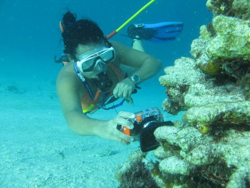 Punta Cana: Guided Power Dive Adventure - Booking and Cancellation