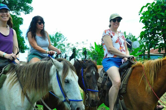 Punta Cana Half-Day Cultural Safari with Lunch and Drinks - The Sum Up: Who Will Love This Tour?