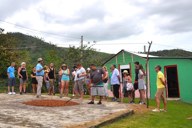 Punta Cana Half-Day Cultural Safari With Lunch and Drinks - Activities and Highlights