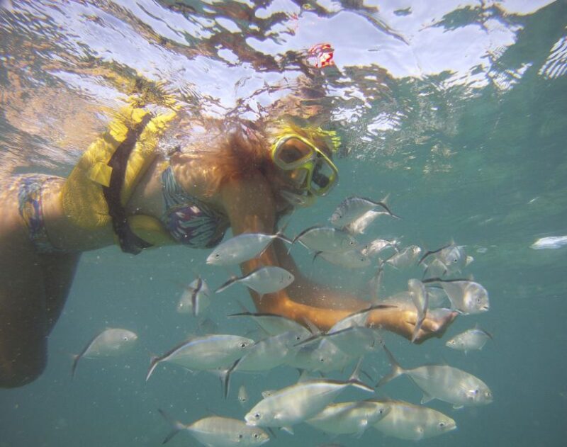 Punta Cana Happy Hour Sailing Cruise - Customer Feedback