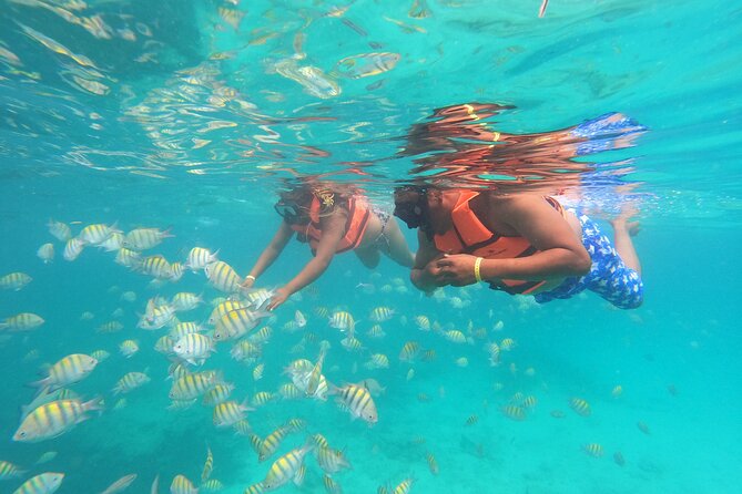 Punta Cana High Performance Speed Boat Adventure and Snorkel - Safety Considerations