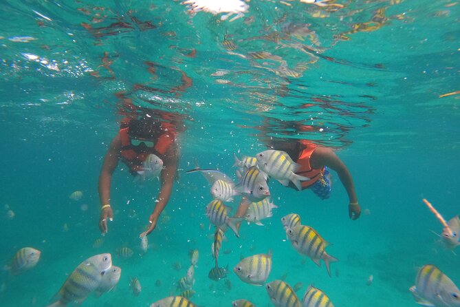 Punta Cana High Performance Speed Boat Adventure and Snorkel - Inclusions and Exclusions