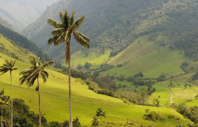 Punta Cana: Higuey, Coffee and Cocoa Tasting Tour With Lunch - Experience Highlights