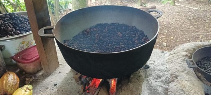 Punta Cana: Higuey, Coffee and Cocoa Tasting Tour With Lunch - Booking and Cancellation Policy