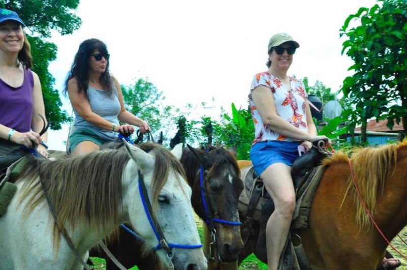 Punta Cana: Historical and Cultural Tour Half-Day Safari - Cultural Experience and Activities