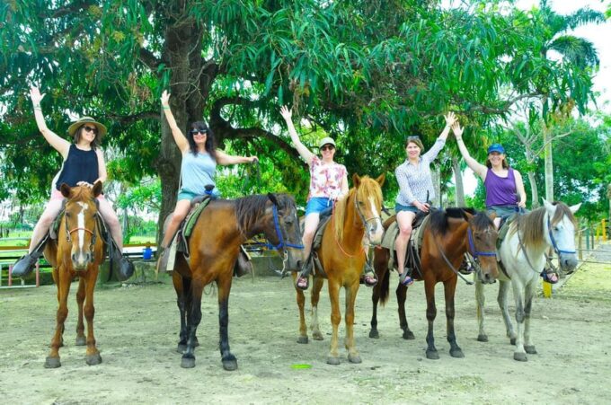 Punta Cana: Historical and Cultural Tour Half-Day Safari - What to Expect