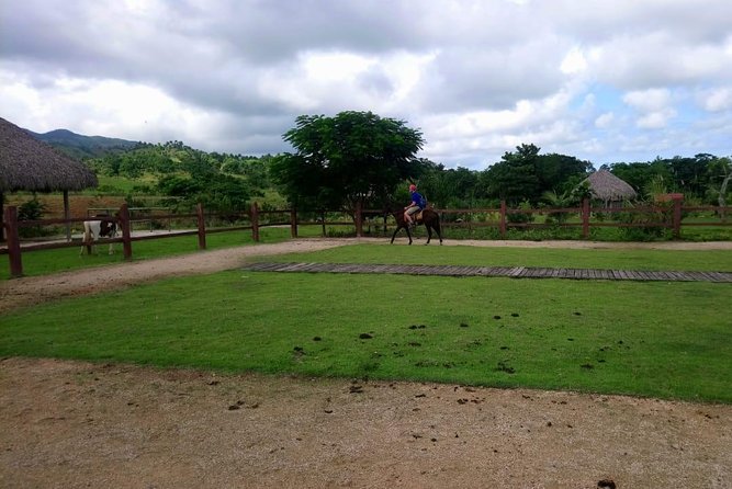 Punta Cana Horse Back Ridding on the Beach - Pickup and Meeting Point