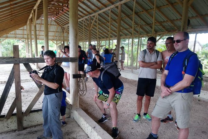 Punta Cana Horse Back Ridding on the Beach - Safety Considerations