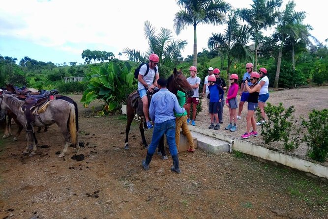 Punta Cana Horse Back Ridding on the Beach - Customer Reviews