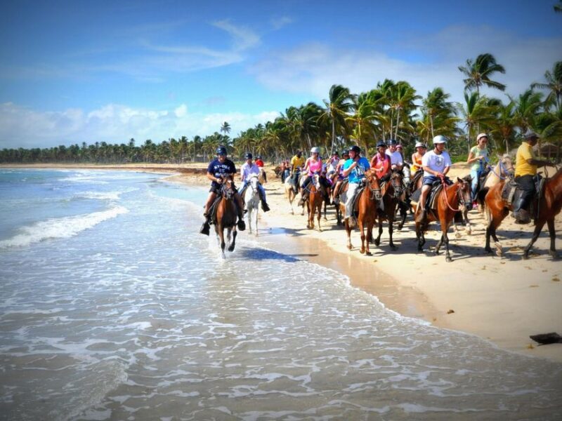 Punta Cana: Horseback Riding Amazing Adventure - Preparing for the Adventure