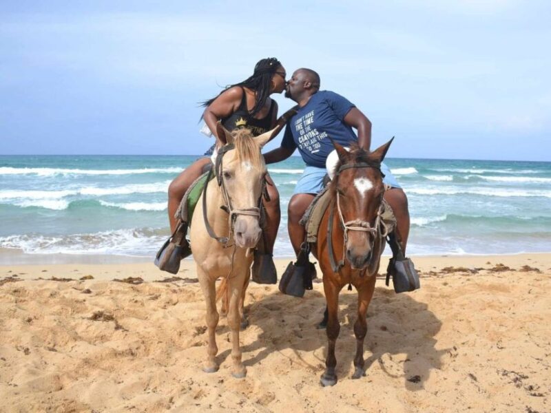 Punta Cana: Horseback Riding Amazing Adventure - Immersive Nature Exploration