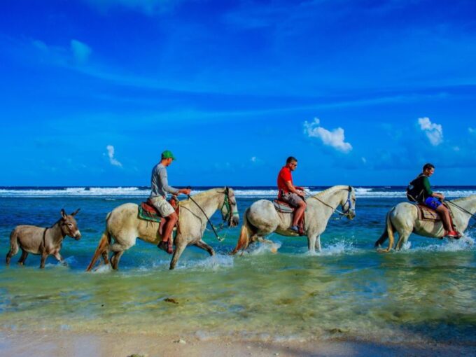Punta Cana: Horseback Riding Amazing Adventure - Memorable Equestrian Experience