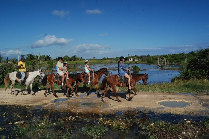 Punta Cana Horseback Riding on the Beach - Customer Reviews and Feedback