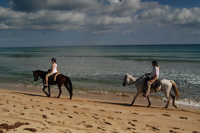 Punta Cana Horseback Riding on the Beach - Suitability for Different Skill Levels