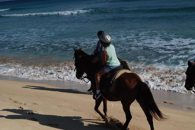 Punta Cana Horseback Riding on the Beach - Capturing Memorable Moments
