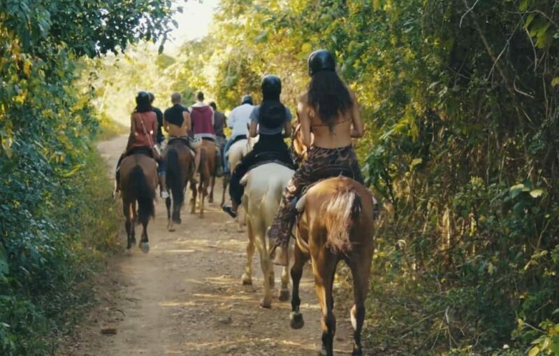 Punta Cana Horseback riding & Sunset + beach + free pick-up - Key Points