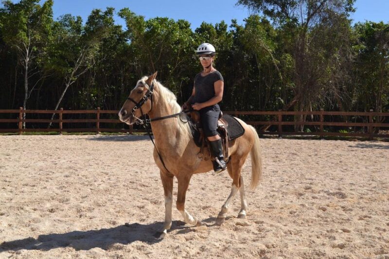 Punta Cana: Horseback Riding Tour on Macao Beach - Participant Restrictions