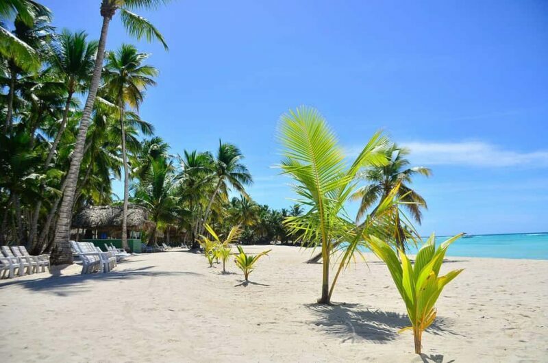 Punta cana: Island Escape to Saona catamaran & Beach lunch - The Itinerary Breakdown