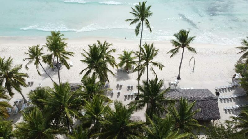 Punta cana: Island Escape to Saona catamaran & Beach lunch - The Drawbacks and Considerations