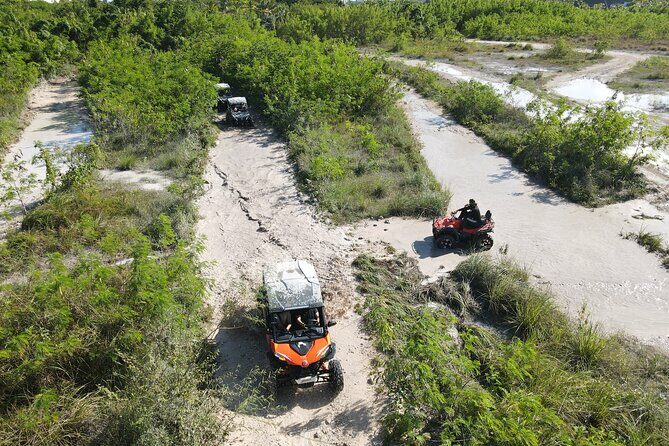 Punta Cana Jet Ski & Buggy Adventure Half Day Experience - Analyzing the Value