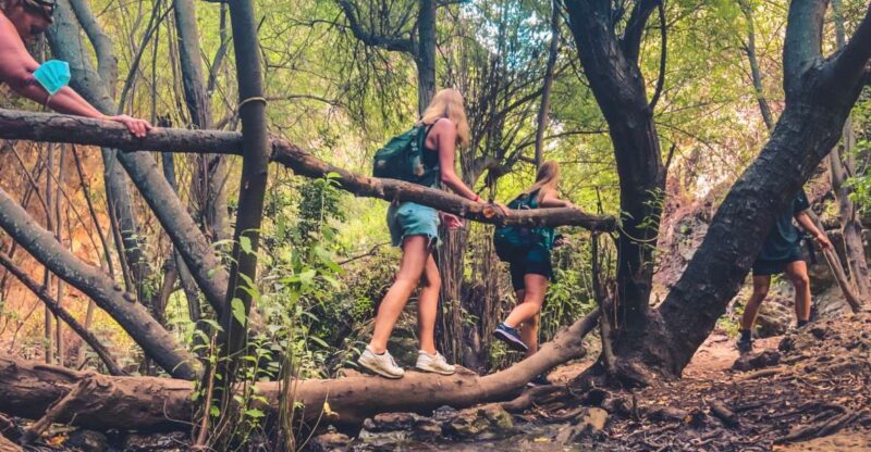 Punta Cana: Los Haitises Hike & Kayaking Mangroves - Experience Highlights