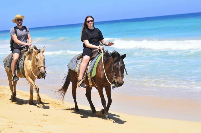 Punta Cana: Macao Beach & Forest Horseback Riding Tour - What Makes This Tour Stand Out