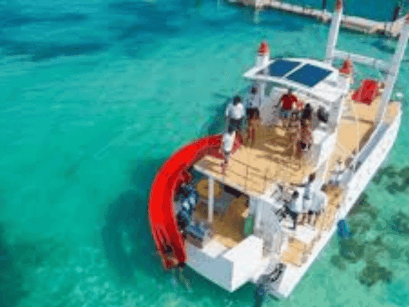 Punta Cana: Majestic Catamaran Expedition to Saona Island With Lunch - Key Points
