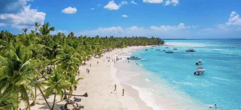 Punta Cana: Majestic Catamaran Expedition to Saona Island With Lunch - Saona Island Activities
