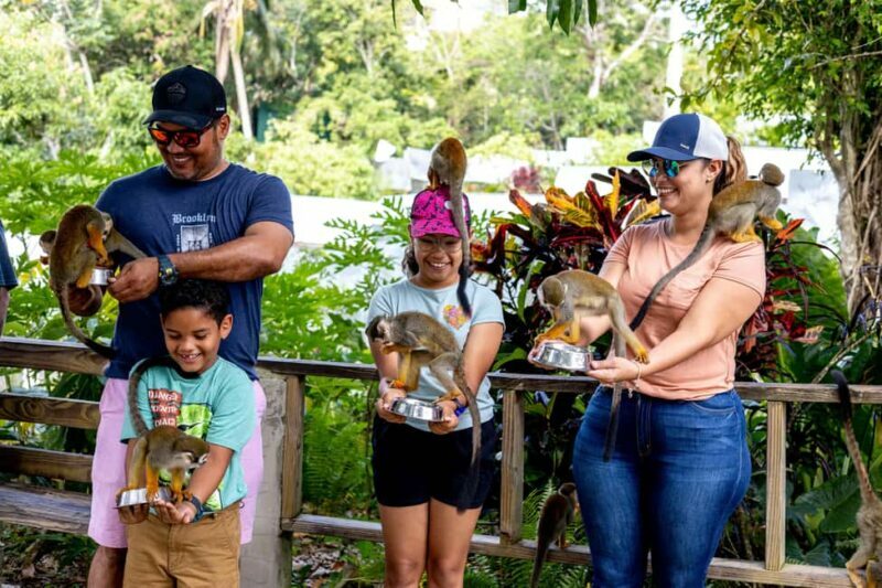 Punta Cana: Monkey Land Half-Day Safari and Plantation - Key Points