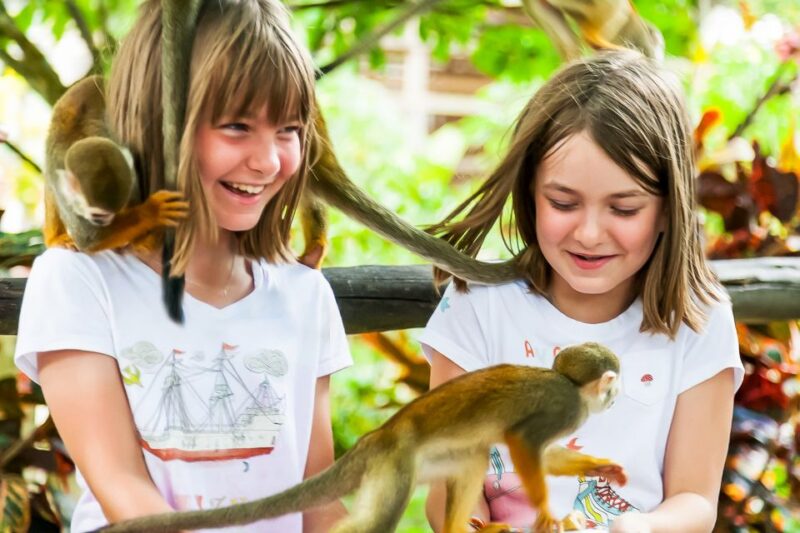 Punta Cana: Monkey Land Half-Day Safari and Plantation - Key Points