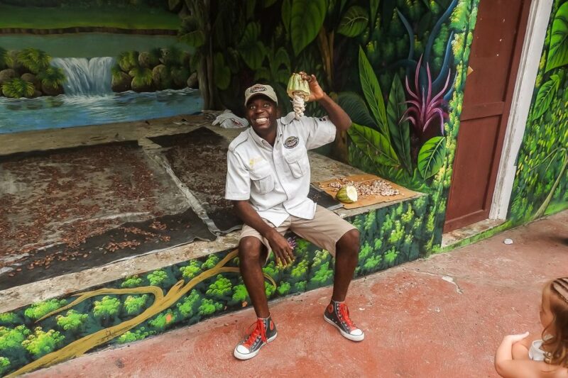 Punta Cana: Monkey Land Half-Day Safari and Plantation - Customer Ratings and Feedback