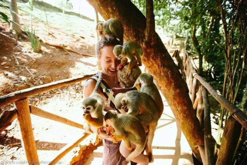 Punta Cana: Monkey Land Tour with Hotel Pickup - Key Points