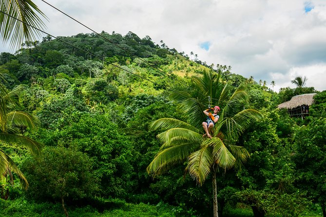 Punta Cana Monkeyland and Zipline Two Adventures in One Day - Customer Feedback Highlights