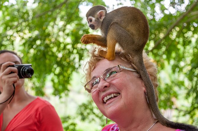 Punta Cana Monkeyland and Zipline Two Adventures in One Day - Monkeyland Observation