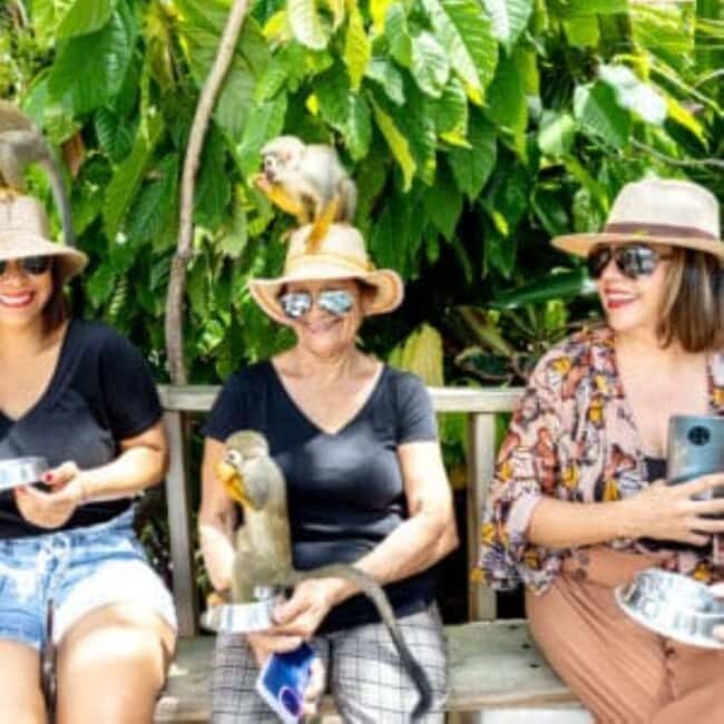 Punta Cana: Monkeyland Half-Day Tour with Snacks and Guide - Key Points