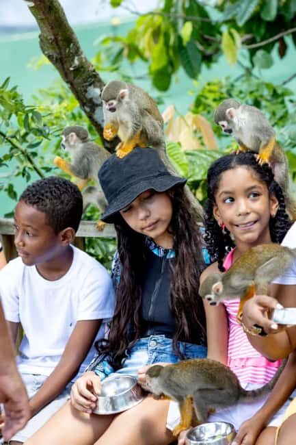 Punta Cana: Monkeyland Half-Day Tour with Snacks and Guide - An Authentic Look at the Monkeyland Experience