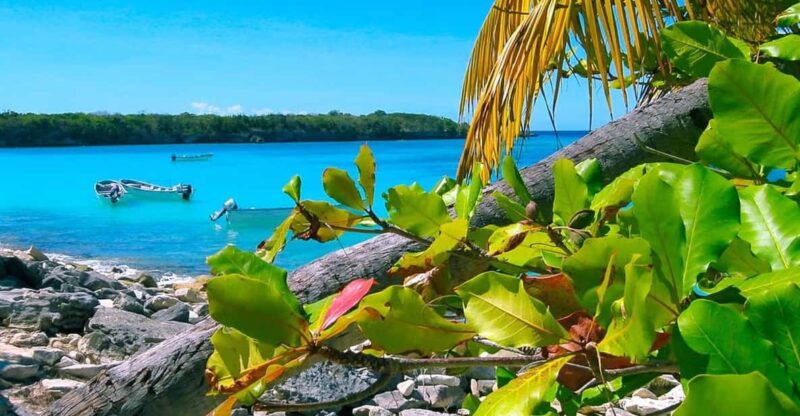 Punta Cana or La Romana: Catalina Island Tour and Snorkeling - Experience Highlights