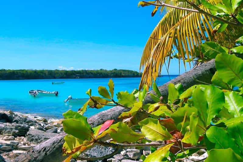 Punta Cana or La Romana: Catalina Island Tour and Snorkeling - Customer Feedback