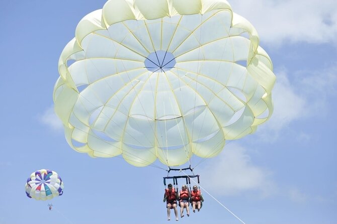 Punta Cana Parasailing Adventure - Business Response and Efforts