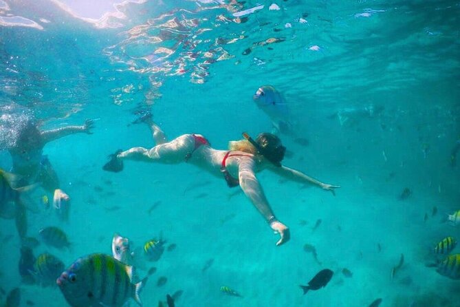 Punta Cana Party Boat Snorkeling Cruise With Live DJ and Open Bar - Pricing and Value Proposition