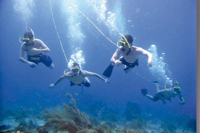Punta Cana Party Cruise With Snorkeling, Hooka Diving and Parasailing - Participant Feedback