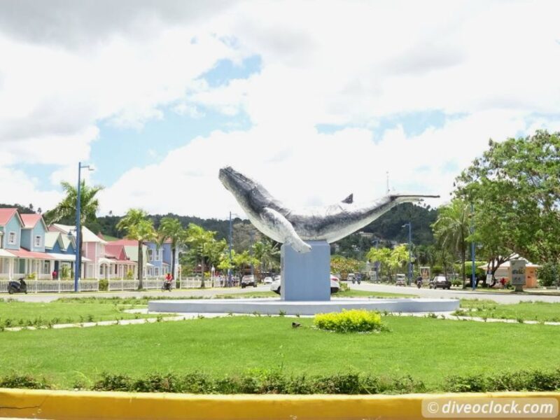 Punta Cana: Playa Rincon, Samana, & Cayo Levantado Day Trip - Mangrove Canoe Ride