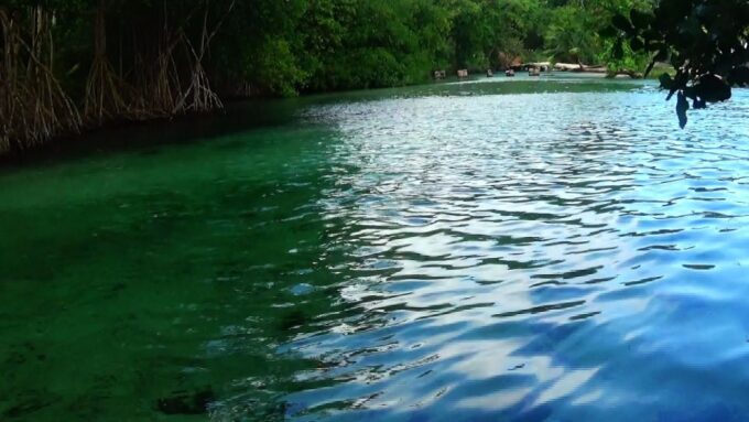 Punta Cana: Playa Rincon, Samana, & Cayo Levantado Day Trip - Frequently Asked Questions