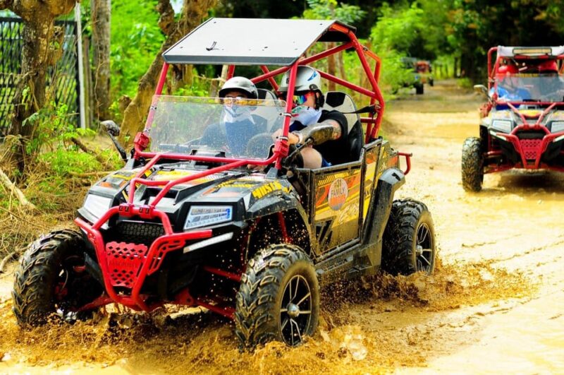 Punta Cana Polalaris Adventure Macao and Dune With Safari. - Adventure Experience