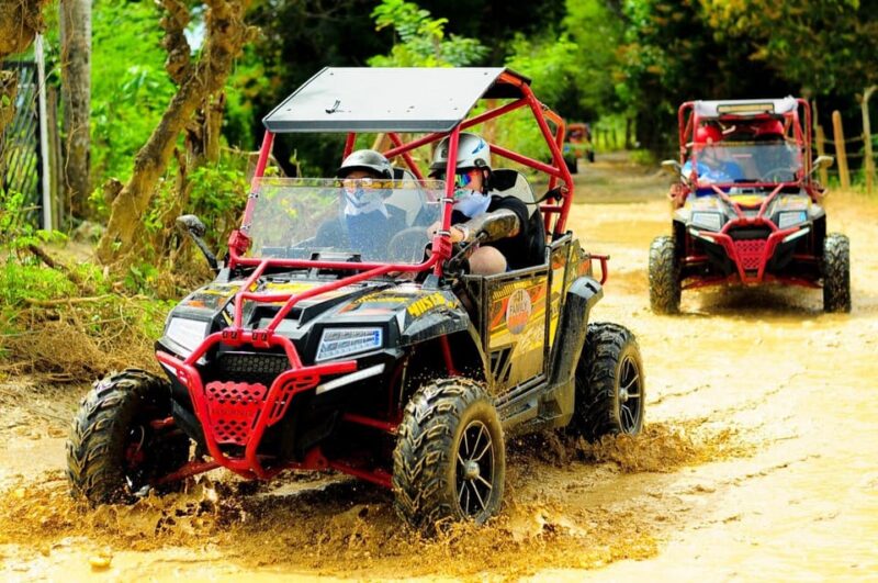 Punta Cana Polalaris Adventure Macao and Dune With Safari. - Inclusions