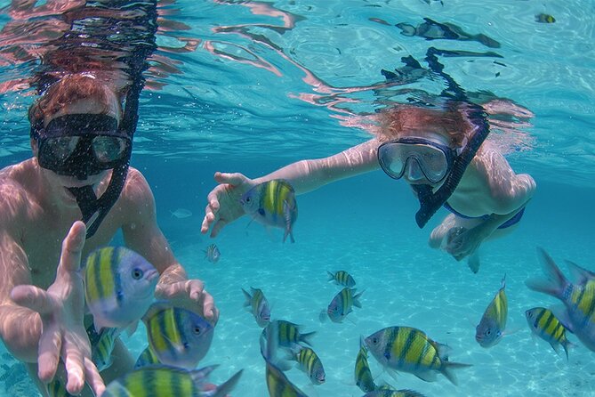Punta Cana Private Catamaran (Small Group) - Booking and Pricing