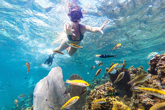 Punta Cana Private Cruise up to 10 Snorkeling & Seafood Lunch - Private Catamaran Experience