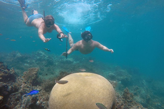 Punta Cana Private Cruise up to 10 Snorkeling & Seafood Lunch - Seafood Lunch and Beverages