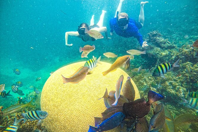 Punta Cana Private Cruise up to 10 Snorkeling & Seafood Lunch - Cancellation Policy